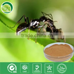 10:1,polyphenols,Formic Acid/black Ant Extract Powder for Black Ant Pill thumbnail-1
