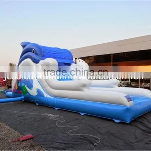 Inflatable Dolphin Slide With Pool for Sale thumbnail-3