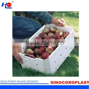 Moistureproof and Aging Resistance Plastic Polypropylene Dust Proof Box thumbnail-1