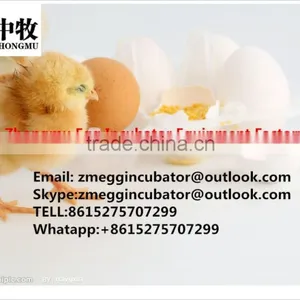 Promotion Price Holding 4224 Eggs Full Automatic Egg Incubator India thumbnail-6