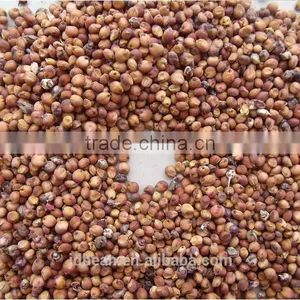 Chinese Red Sorghum thumbnail-3
