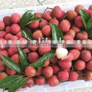Fresh Lychee thumbnail-1