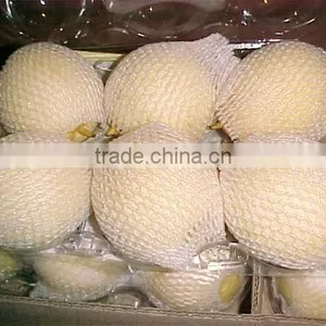 su Pear With Attractive Colors thumbnail-1