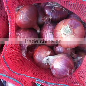 Yellow Onion ( Red - Yellow - White - Spring Onion ) thumbnail-1