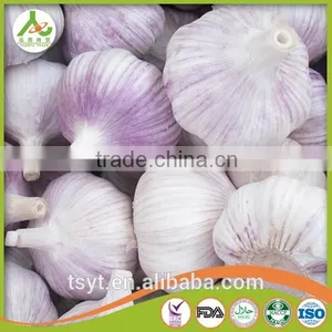Cheapest Price New Old Crop Producer of Fresh Normal White White Natural Garlic thumbnail-1