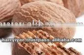 Nutmeg Seeds Without Shell Indian thumbnail-1