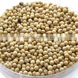 VIETNAM VINAPRO WHITE PEPPER 630G/L (+841657106604 - WHATSAPP) thumbnail-4