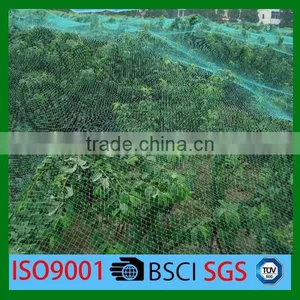 Long Life Quality Guarantee UV Resistant HDPE Sun Shading Netting Fruit Cover Net thumbnail-5