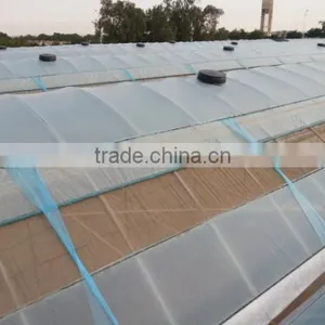 Multi-span Greenhouse thumbnail-4