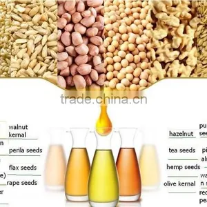 5TPD Multi-functional Stainless Steel Cooking Fragrant Groundnut Oil Processing Machine With Factory Price thumbnail-5