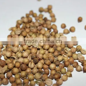 Coriander Seeds Multiple Layer Continuous Type Mesh Belt Dryer thumbnail-6