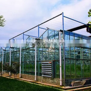 Hot Dip Galvanized Steel Structure of Glass Greenhouse thumbnail-1