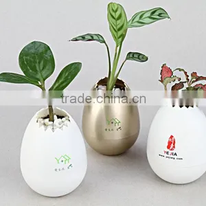 ABS Egg Shell Pots thumbnail-4
