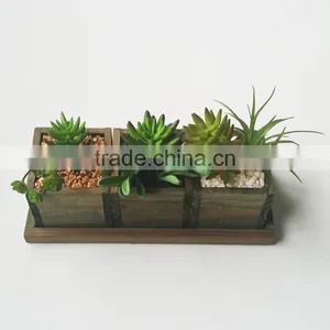 Artificial Plastic Mini Succulents Plants for Home Decoration thumbnail-4