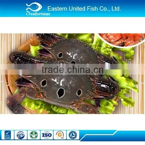 New Arrival Frozen Swimming Crab thumbnail-1