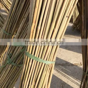 Excellent Quality Factory Price Garden Bamboo Canes for Sale thumbnail-3