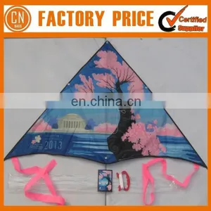 Advertising Logo Custom Cheap Stunt Kites thumbnail-1