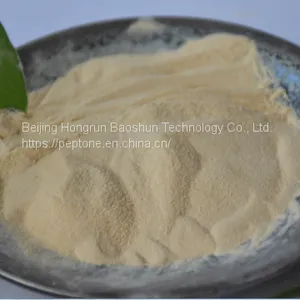 Casein Peptone thumbnail-1