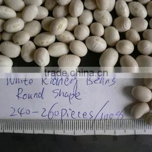Round White Kidney Beans thumbnail-1