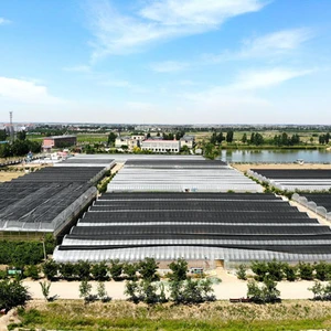 Hebei Dayu Seeds Co.,Ltd. company overview - view 4 thumbnail