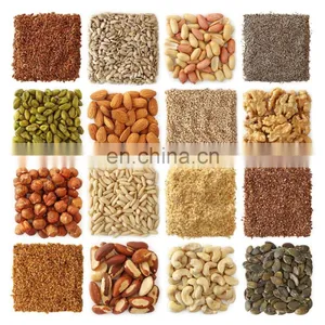 Pecans Walnut Classifier Grader Sorter Huller Sheller Processing Machine Line Machine thumbnail-2