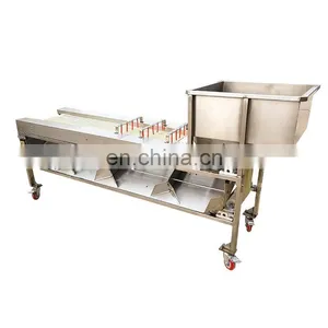 Apple Grading Machine/Potato Sorting Machine/Apple Sorting Machine. thumbnail-5