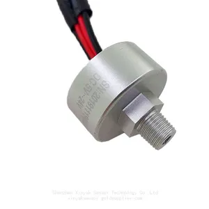 Manufacturer of Metal Housing Vacuum Pump Pressure Switch for New Energy Vehicle Brake System thumbnail-1