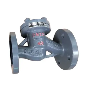 High Quality Lifting Flange Check Valve thumbnail-4