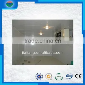 Most Popular Creative Super Quality Fish Cold Freezer/fish Blast Freezer/cold Storage/cold Room thumbnail-5