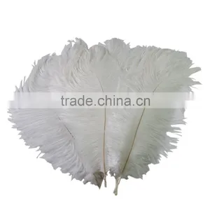 Best Price Natural Ostrich Plumes, Decorative Ostrich Feathers Wholesale thumbnail-2