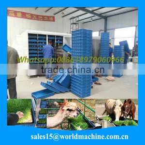 WHIR Export to Saudi Arabia Low Cost Greenhouse for Growing Fodder Barley Grass thumbnail-1
