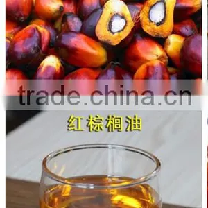 Huatai Small Scal Palm Oil Machine, Palm Oil Extraction Plant With Crude Palm Oil Specification thumbnail-5