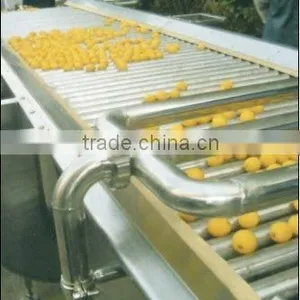 5m Fruit Lifter Machine thumbnail-1