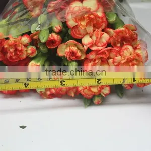 Elegant in Smell Hot Sale Fresh Carnation for Home Decoration thumbnail-2