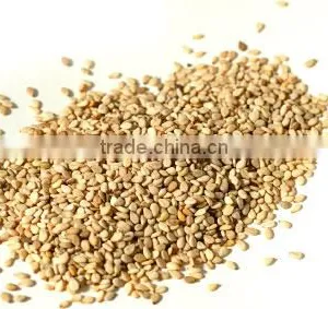 Sesame Seed Black P.e.| High Quality Black Sesame Seeds Powder Sesamin thumbnail-5