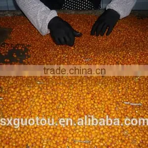 100% Nature Wild Frozen Seabuckthorn Fruit thumbnail-4