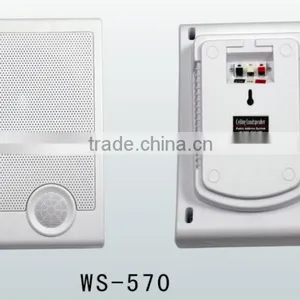 WS-570 Professional Indoor Wall Hanging Speaker, pa Speaker Box thumbnail-5