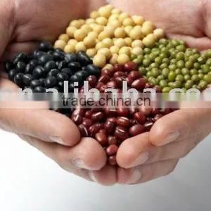 Azuki Bean of China thumbnail-1