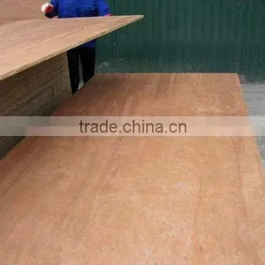 EUCALYPTUS PLYWOOD WITH THE MOST COMPETITIVE PRICE thumbnail-1