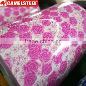 Direct Buy China High Quality Color Coated Galvanizedppgi/ppgl Steel Coil thumbnail-6