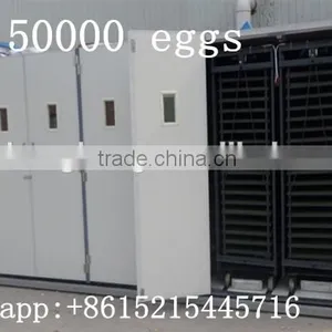 50000 Eggs Incubator Full Auto/50688 Chicken Egg Incubator/ZH-50688 Poultry Incubator thumbnail-1
