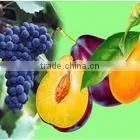 Eco-solvent PP 180 thumbnail-6