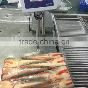 Frozen Seafood Cat Fish Headless Catfish Maw thumbnail-2