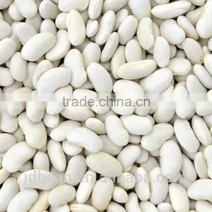 White Kidney Bean thumbnail-2