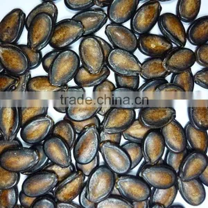 New Crop High Quality Melon Seed thumbnail-1