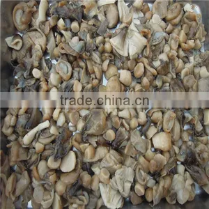 Market Prices for Mushroom Price Canned Mushroom thumbnail-2