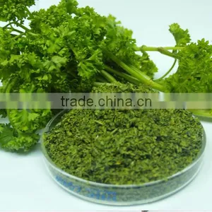 Parsley Powder thumbnail-1
