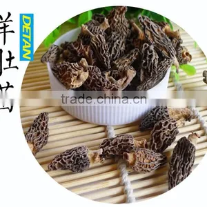 Wild Dried Morchella Vulgaris Grown in Mountain thumbnail-3