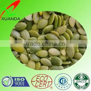 High Quality China Shine Skin Pumpkin Seed in Shell thumbnail-2