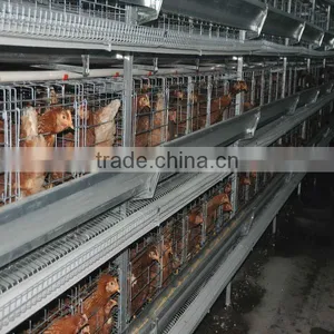 Chicken Cage Layer Type thumbnail-1